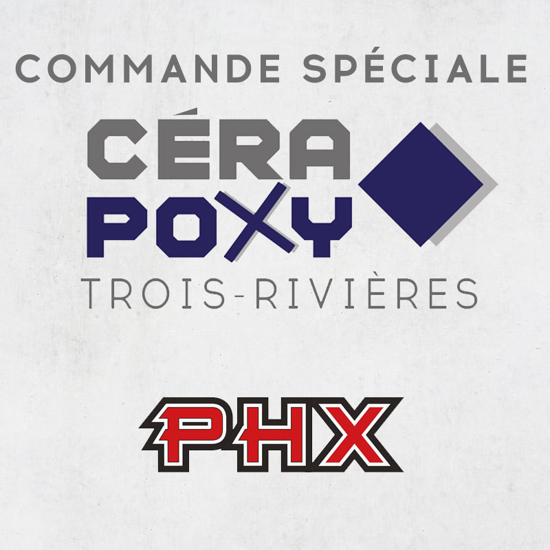 Boîte de 9 disques de polissage 3'' pour PHX D28